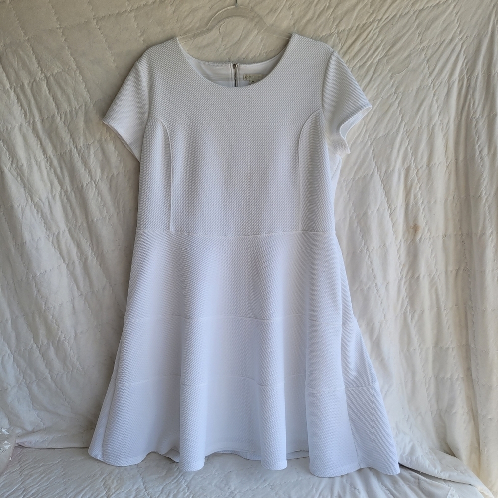 Cato White Fit and Flare Dress Size XL